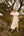 Vestido Camelia Lino Natural