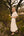 Vestido Camelia Lino Natural