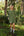 Vestido Matía Verde Musgo