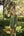 Vestido Matía Verde Musgo