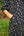 Vestido Viena Flores Negro