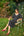 Zapato Julie Cereza y Rosa Palo