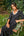Vestido Viena Flores Negro