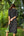 Vestido Viena Flores Negro