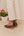 Zapato Delfina Marrón