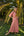 Vestido Melissa Pico Flor Vintage