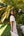 Vestido Formentera Beige