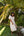 Vestido Formentera Beige