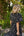 Vestido Formentera Negro