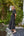 Vestido Formentera Negro
