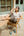Chaleco Louise Beige